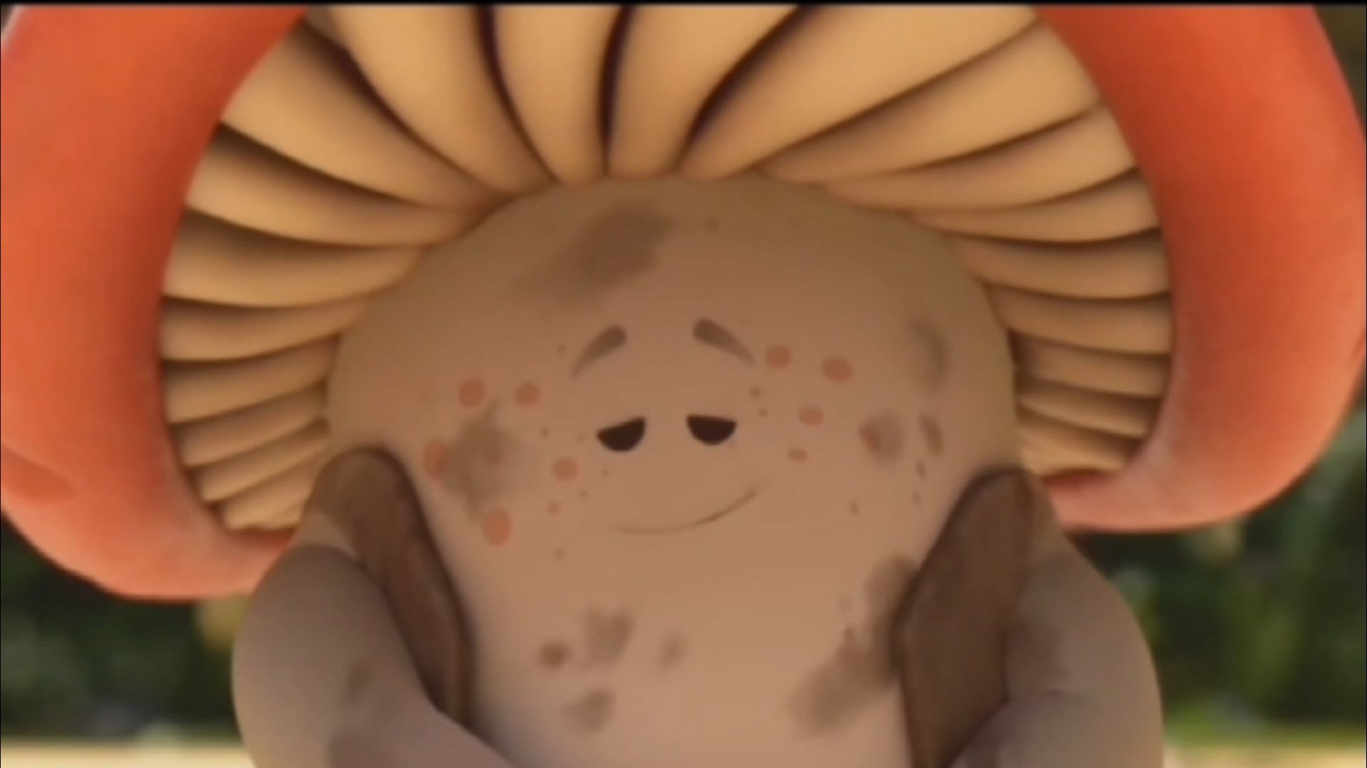 Mush Mush & Les Champotes FRANCAIS (FRENCH) : Embourber