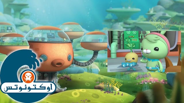 Octonauts 9 ARABE (ARABIC)