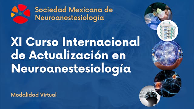 XI Curso Internacional 2024