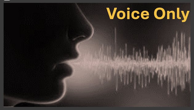 Border Force Interview (Voice Only)