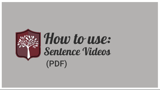 Introduction to Sentences (PDF)