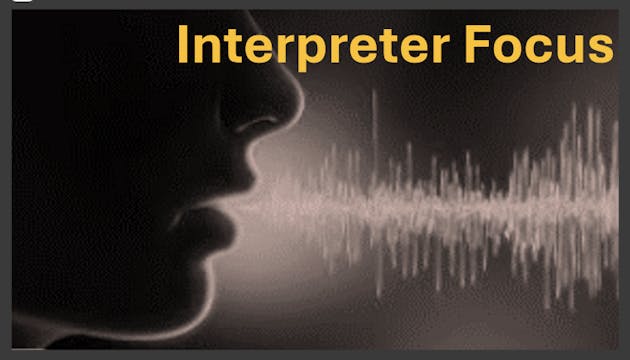 Border Force Interview (Interpreter F...
