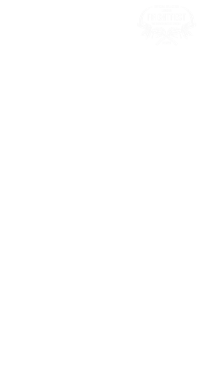 "BUNNY RABBIT"
