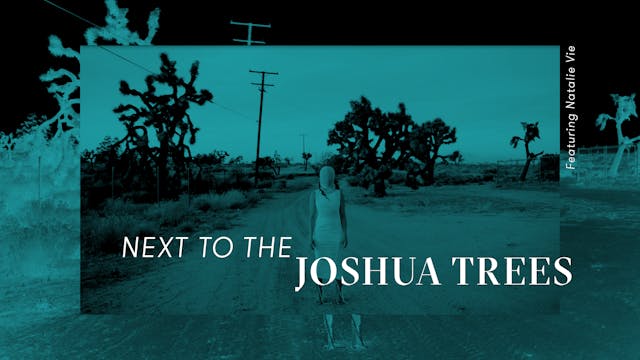 Next to the Joshua Trees featuring Na...