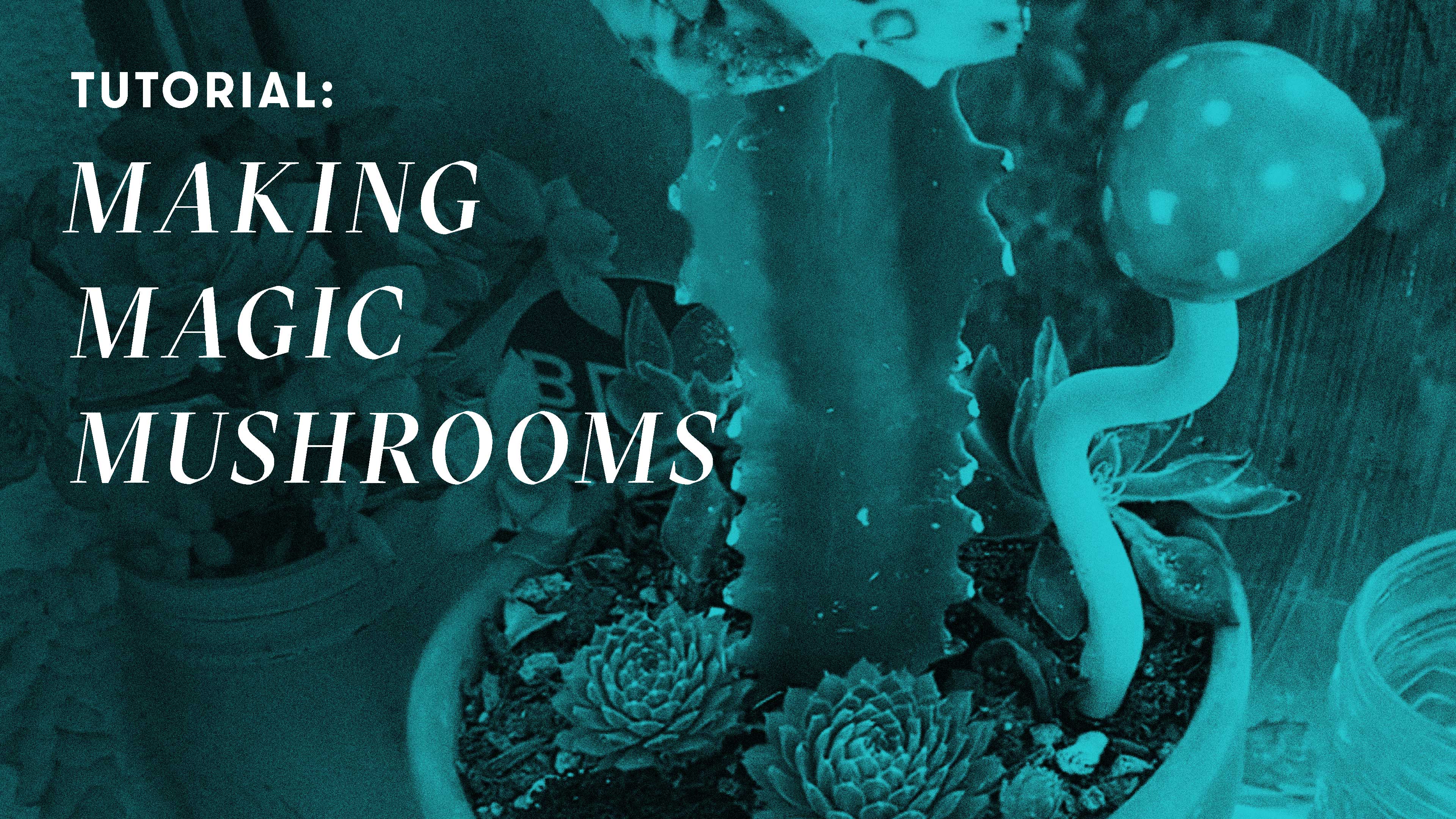 TUTORIAL: Making Magic Mushrooms