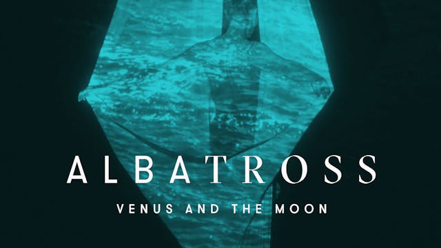 Albatross | Venus And The Moon
