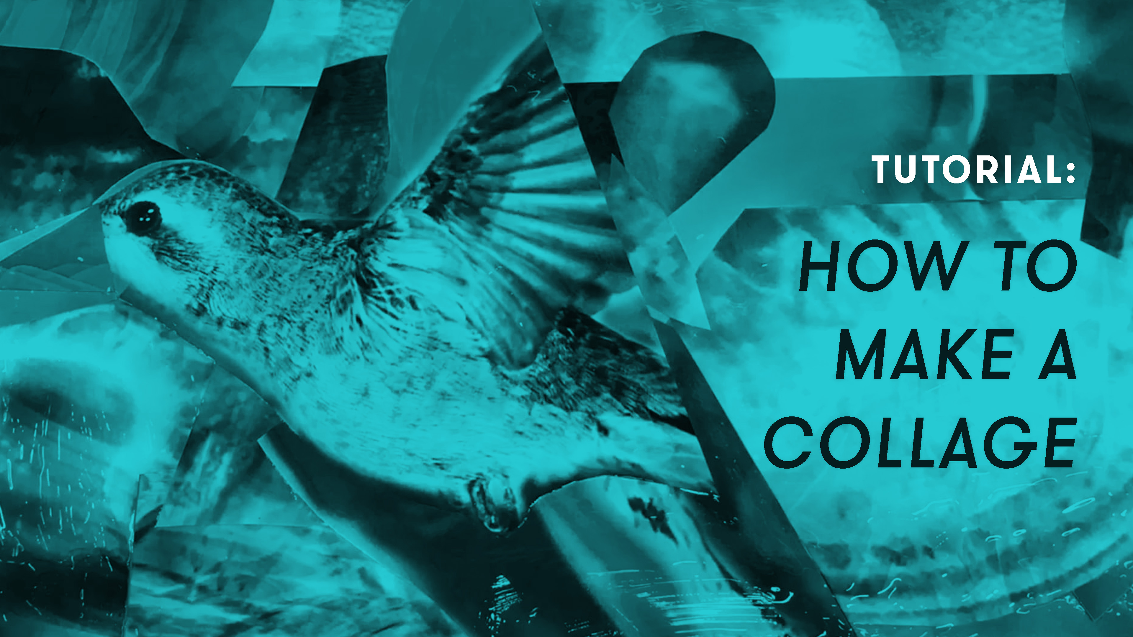 TUTORIAL: How to Make a Collage