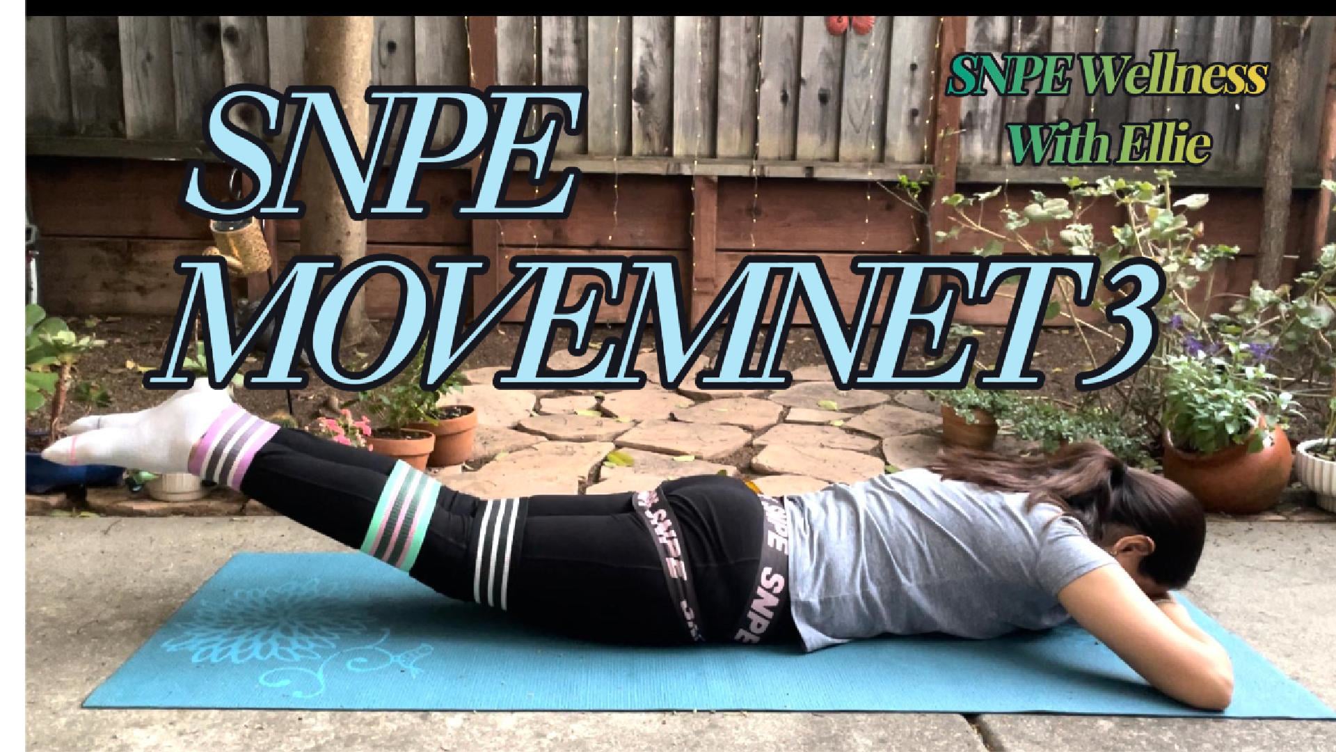 SNPE Movement 3
