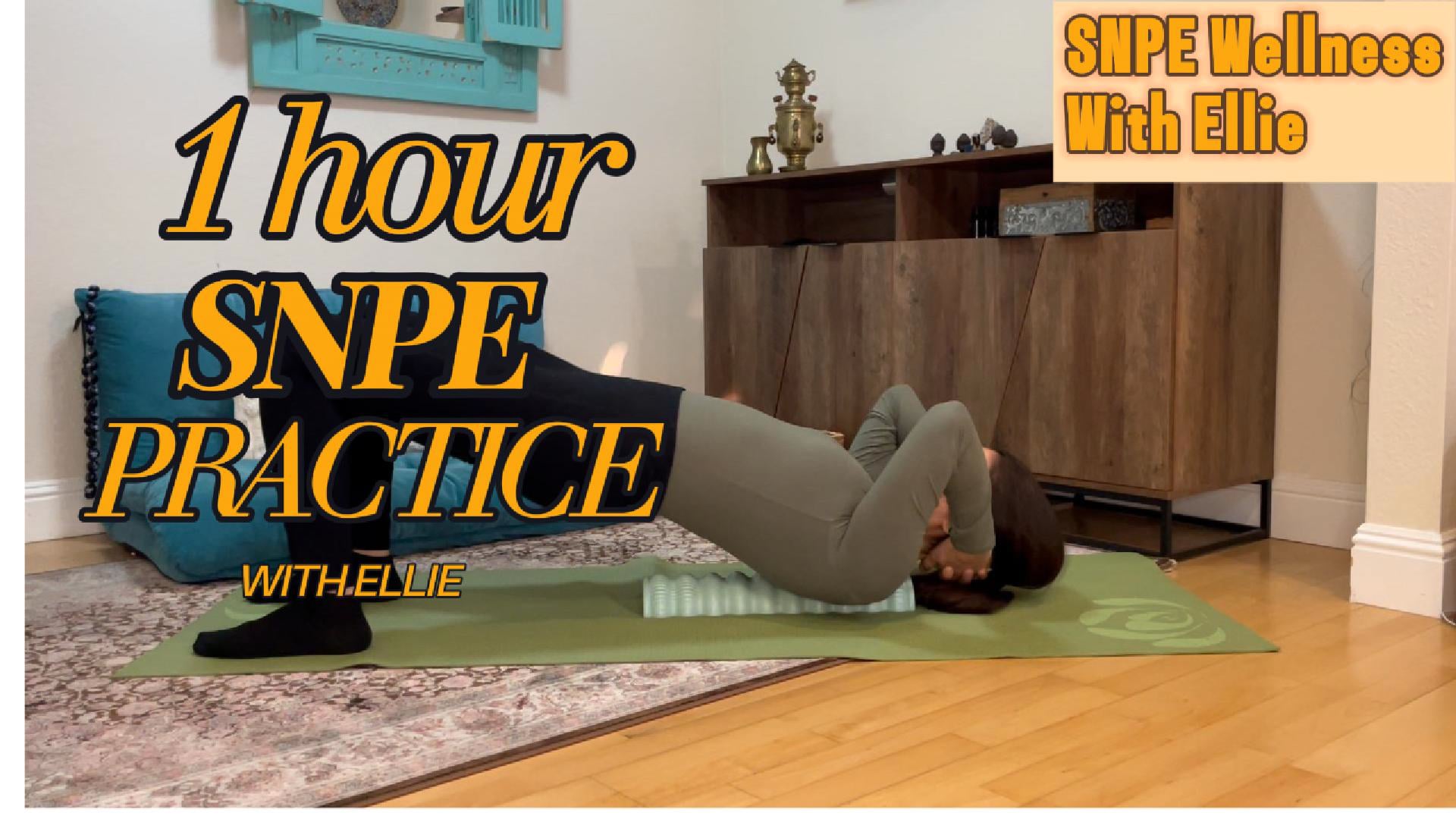 1 Hour SNPE Routine