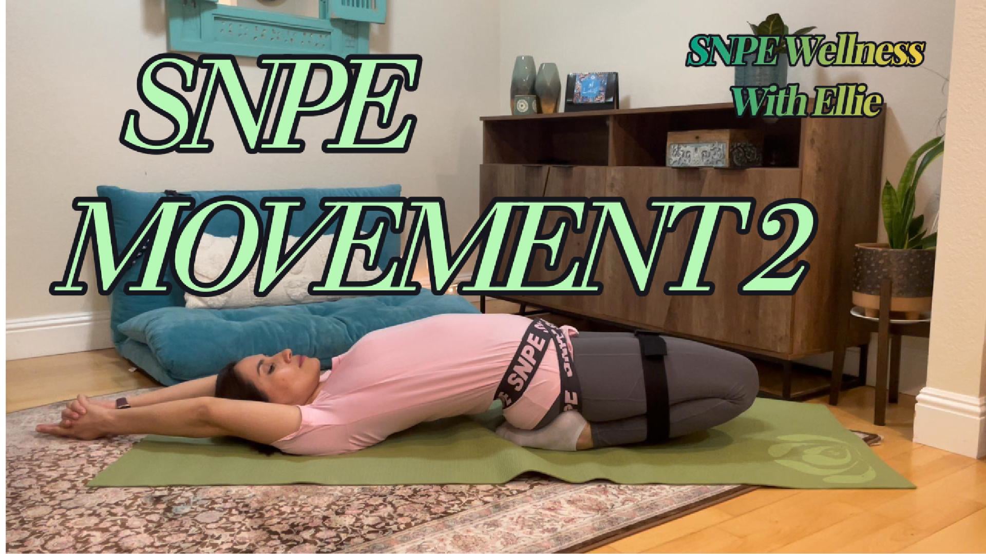 SNPE MOVEMENT 2