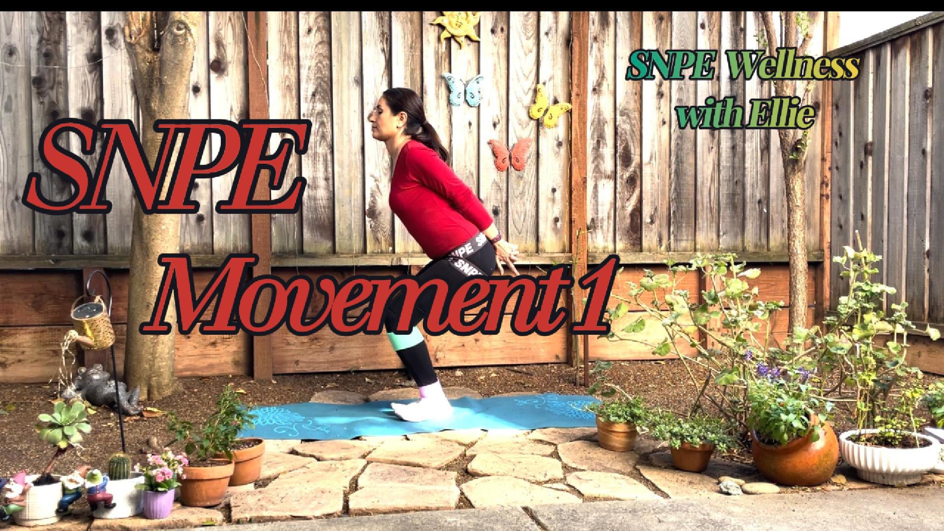 SNPE Movemnet 1
