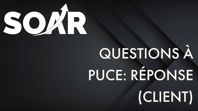 QUESTIONS À PUCE: RÉPONSE (CLIENT)