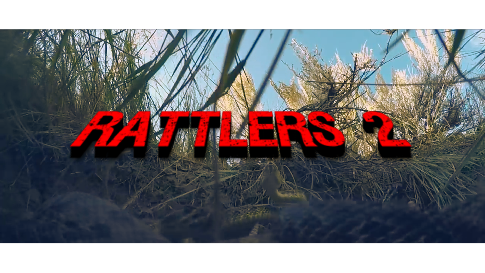 Rattlers 2