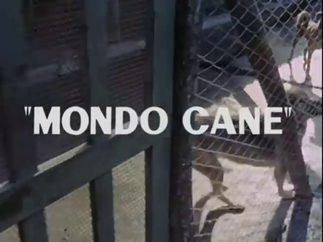 Mondo Cane