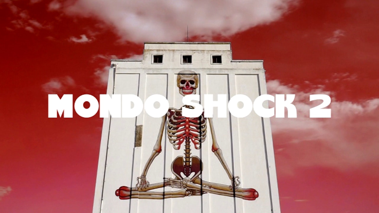 Mondo Shock 2