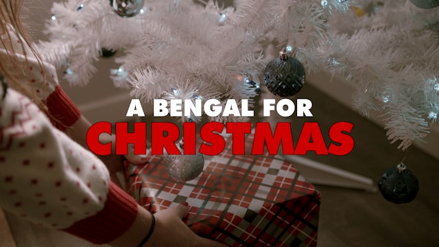 A Bengal For Christmas
