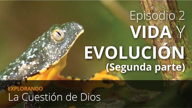 EPISODIO 2: Vida y Evolución (Segunda parte)