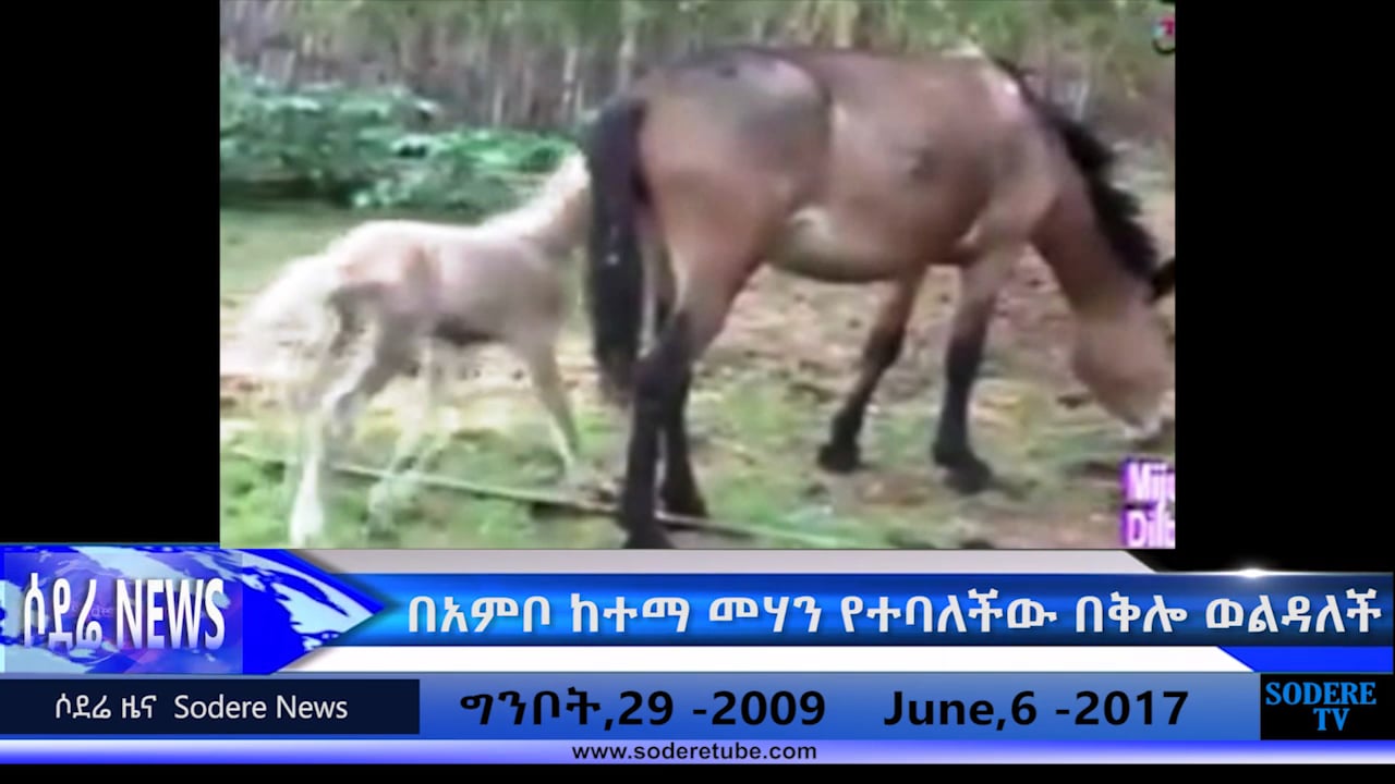 Sodere News June 6 2017