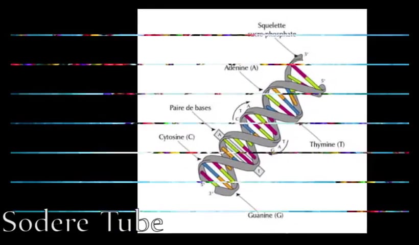 Pregnancy No Proof of Motherhood Woman