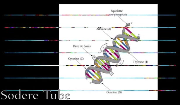 Pregnancy No Proof of Motherhood Woman