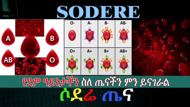 What Your Blood Type Means For Your Health