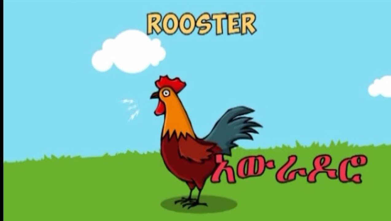 Ye Sefere Lijoch vol 1 for Ethiopian kids - Kids - Sodere