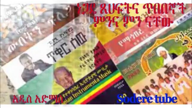 Ethiopia        The difference between authors who write for business or art