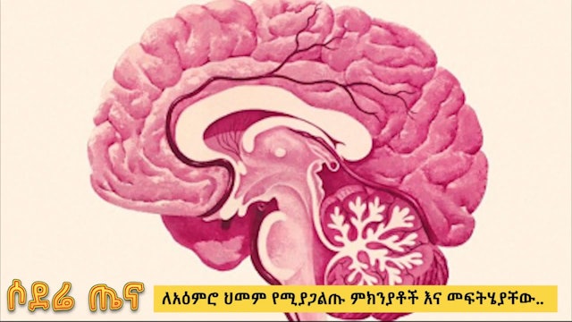 Brain health - causes and treatment