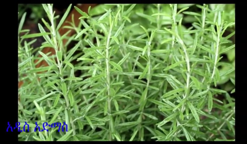 How to protect yourself from radiation