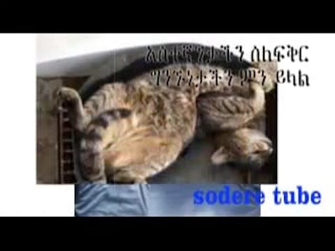 What Your Sleep Position Says About Y...