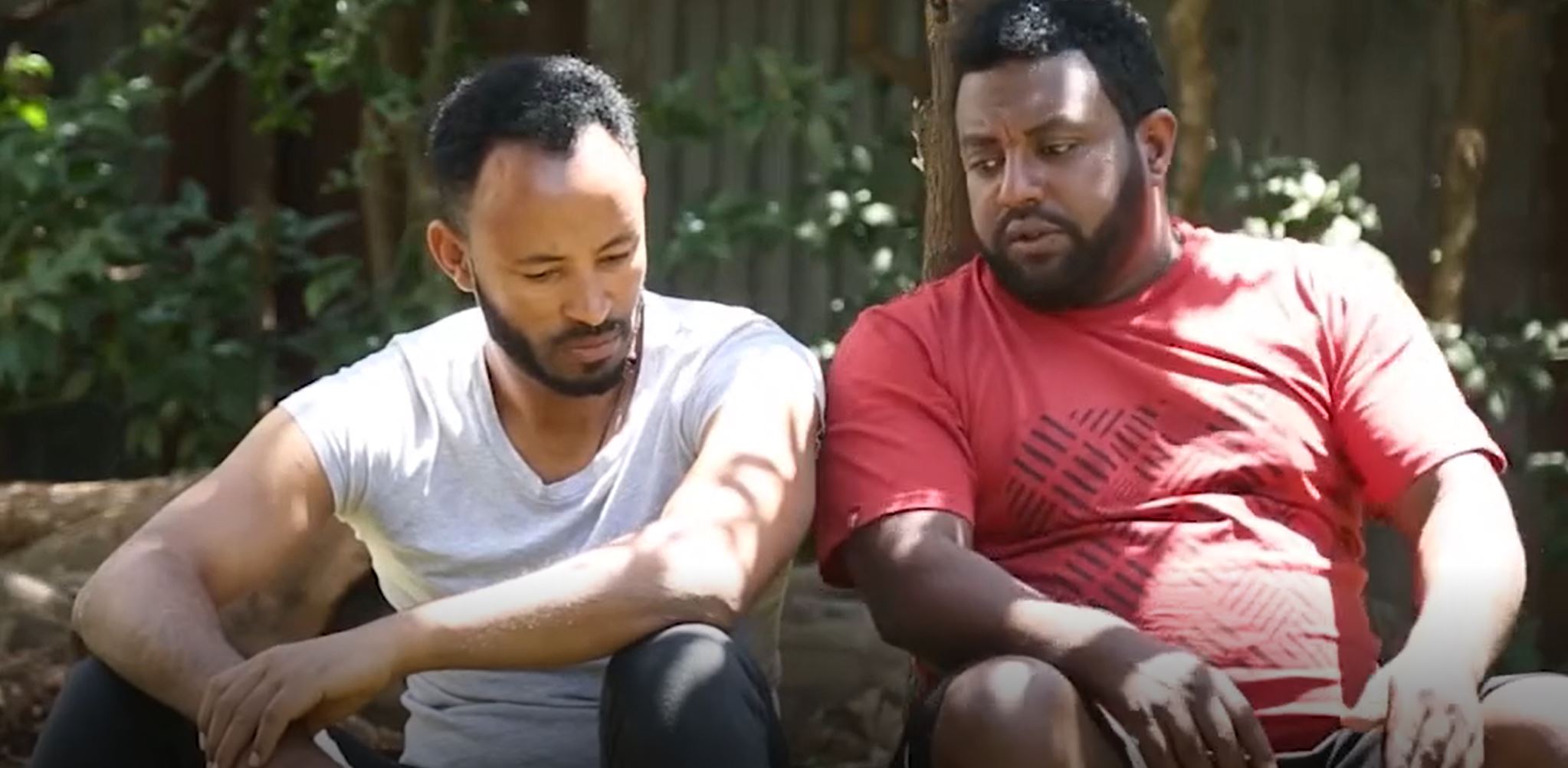 serkeshe lehede Film