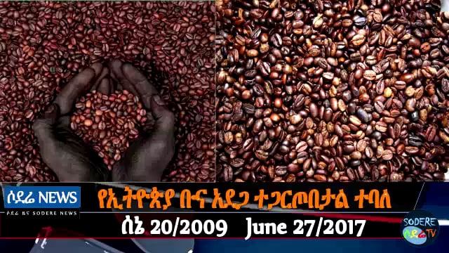 Ethiopia coffee farming faces uncertain future – scientists