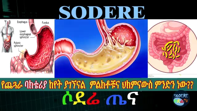 Stomach Bacteria Infection - Causes, Symptoms, and Treatment