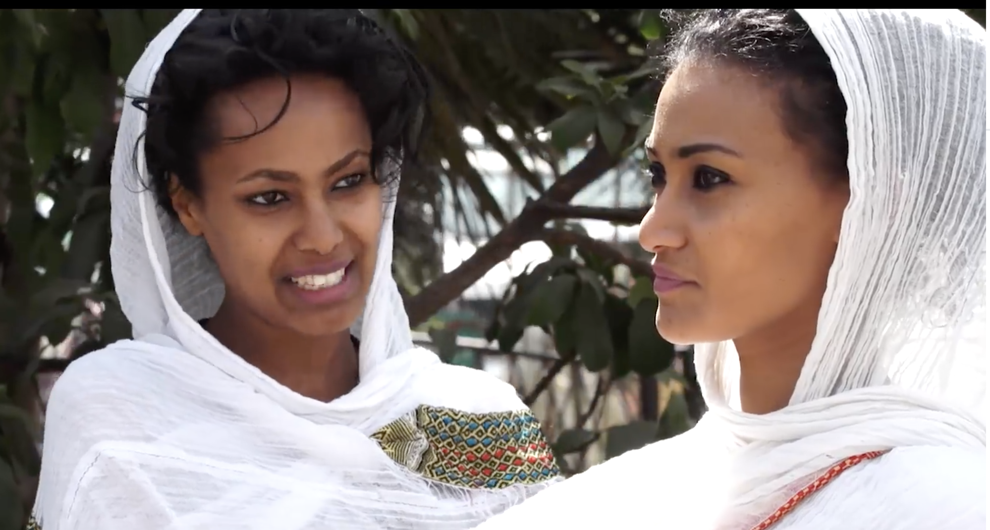 Love and Gamble Trailer