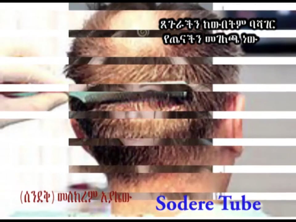 Hair as an Indicator of Health