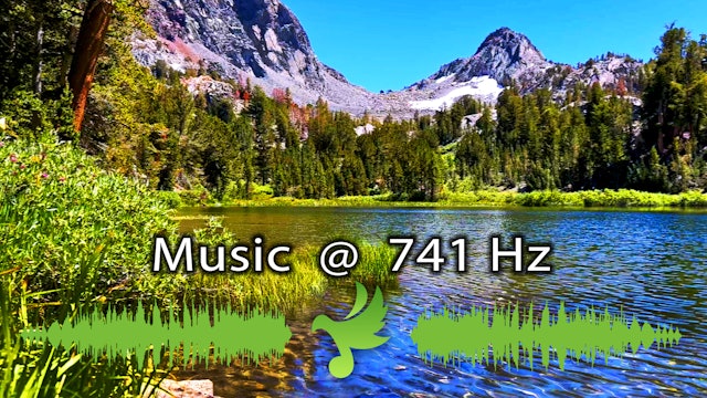 741 Hz Music | Release Toxins, Cleanse & Purify the Body & Mind | Solfeggio Freq