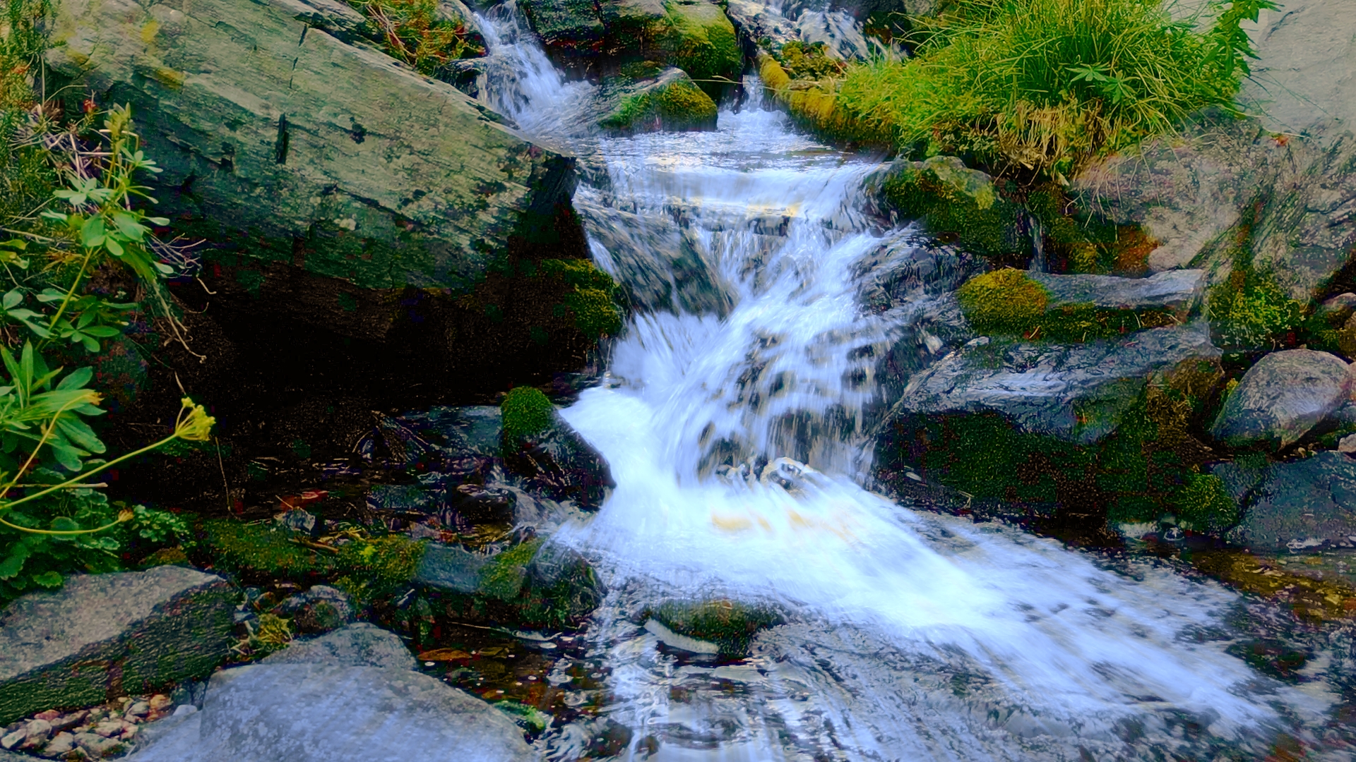 Above Emerald Creek & Babbling Brook Nature Sounds