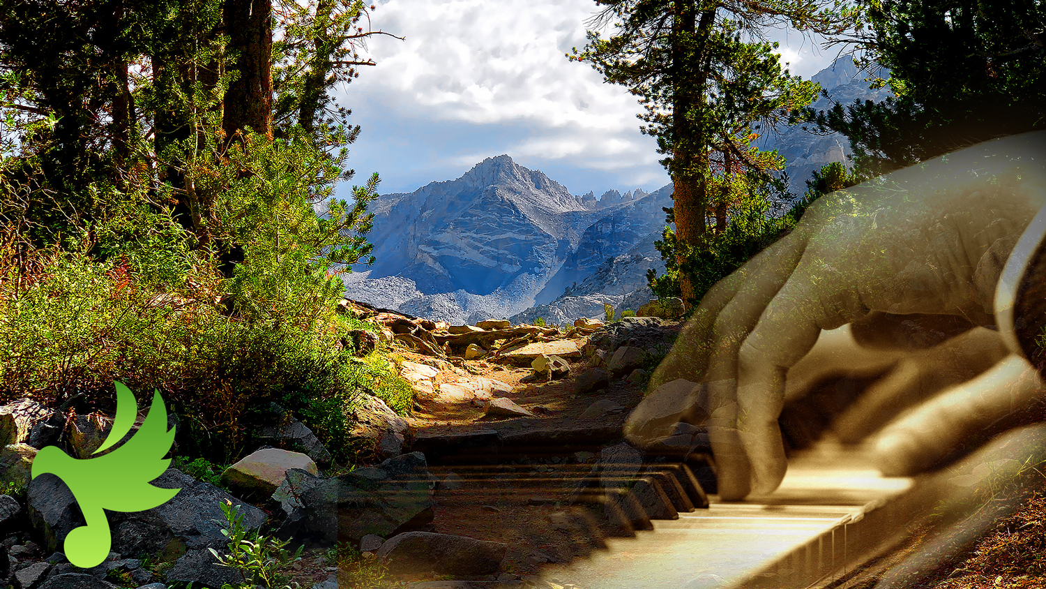 The Symphony of Nature 4 of 6