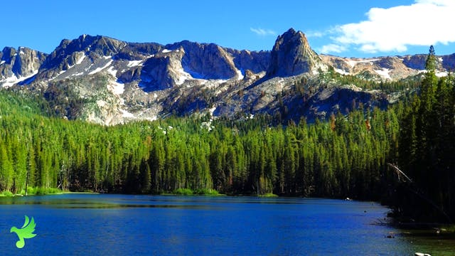 Mountain Dreams & Streams With Piano