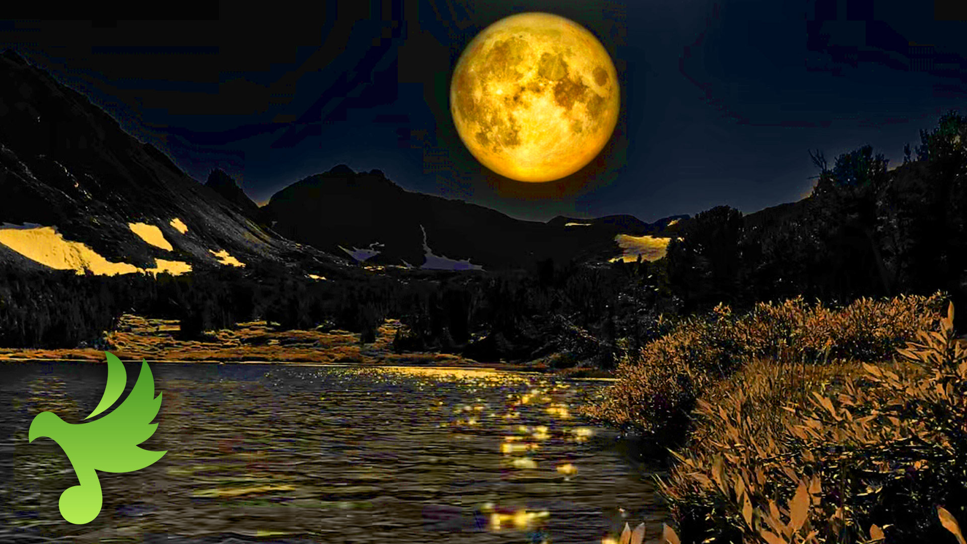 Moonlight & Lake Sounds: Escape Stress at Moonlite Meadow | Frog Lakes, CA