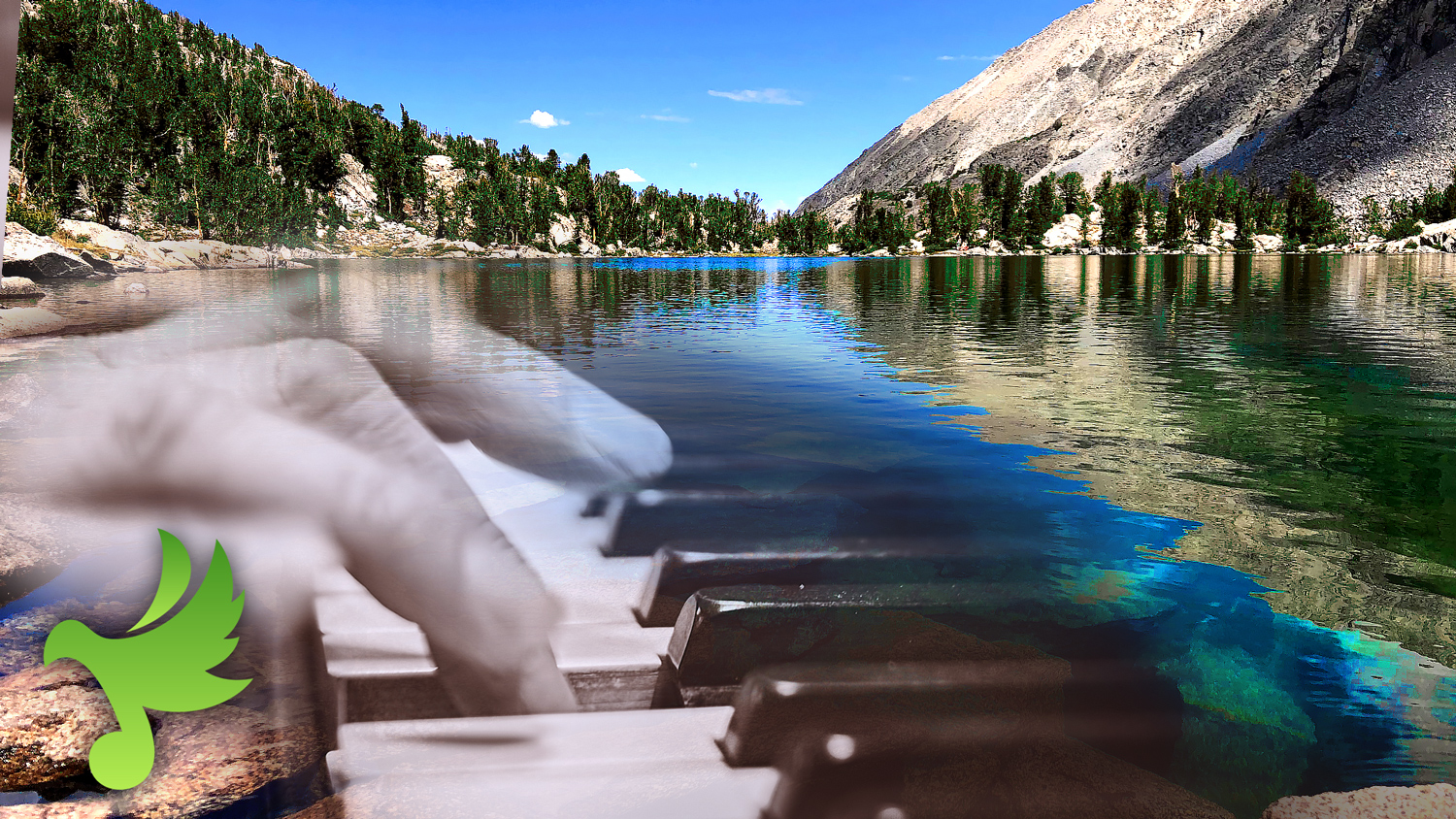 The Symphony of Nature 2 of 6