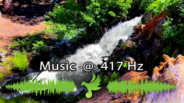 417 Hz Solfeggio Frequency Music, Remove ALL Negative Energy | Sleep Music