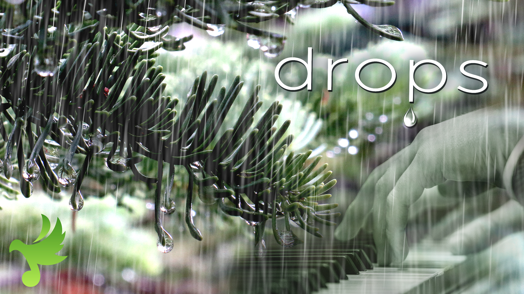 Dew Drops  - Track from the Album 'Drops' by Craig Colley (with Rain Sounds)