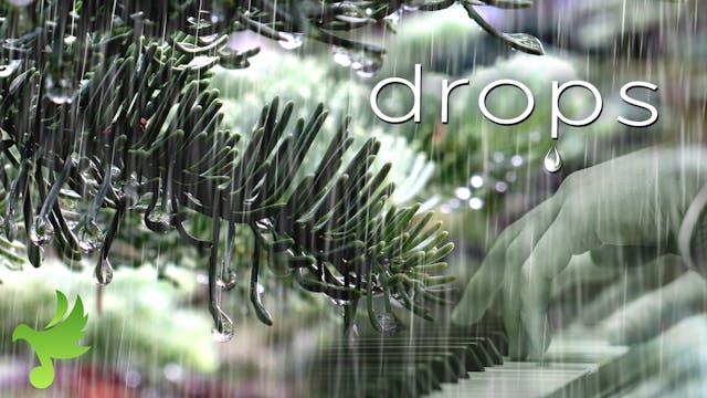 Dew Drops  - Track from the Album 'Dr...