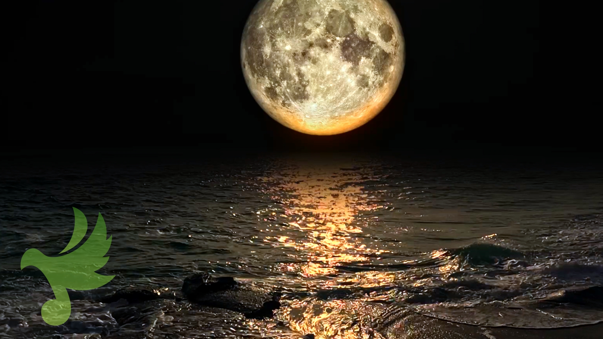 Midnight Moon & Surf