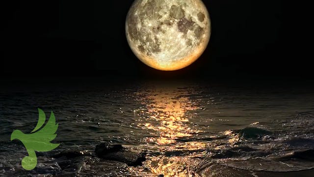 Midnight Moon & Surf