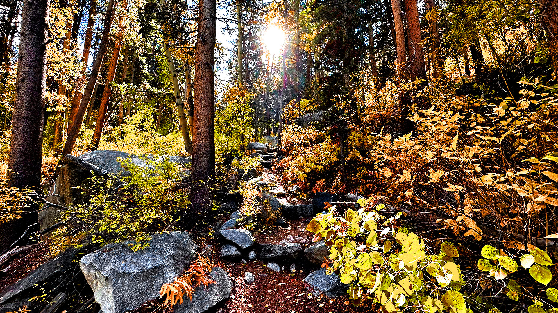 Golden Autumn Aspens & Water Sounds