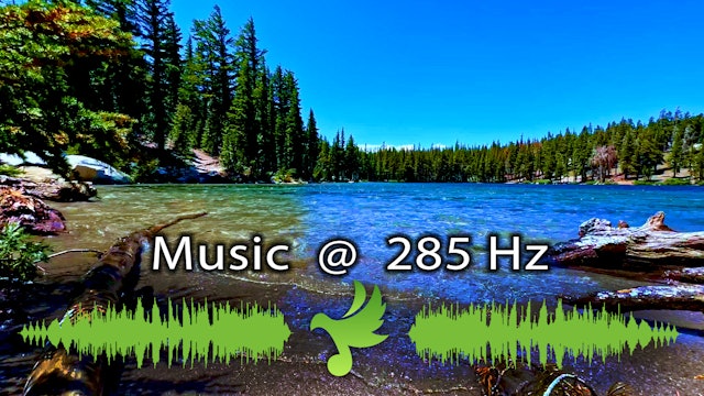 285 Hz SOLFEGGIO MUSIC | Powerful Benefits Pain Relief Sleep Music