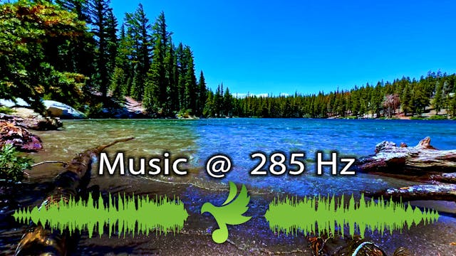 285 Hz SOLFEGGIO MUSIC | Powerful Ben...