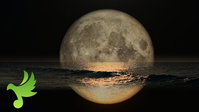 Full Moon Sinking into the Pacific Surf 